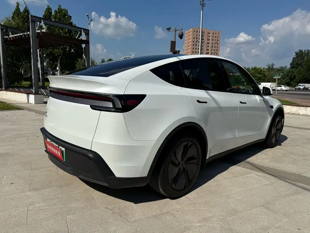 Tesla Model Y — миниатюра 8
