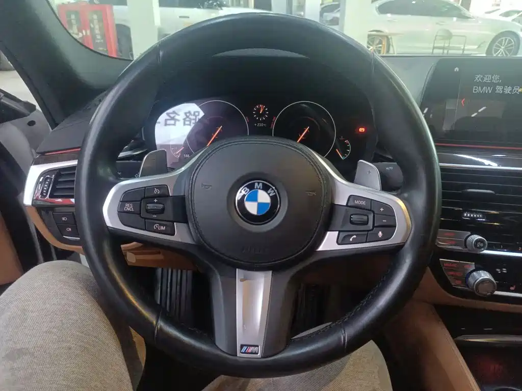 BMW 5 Series 5 2019 530Li Lead M Sport