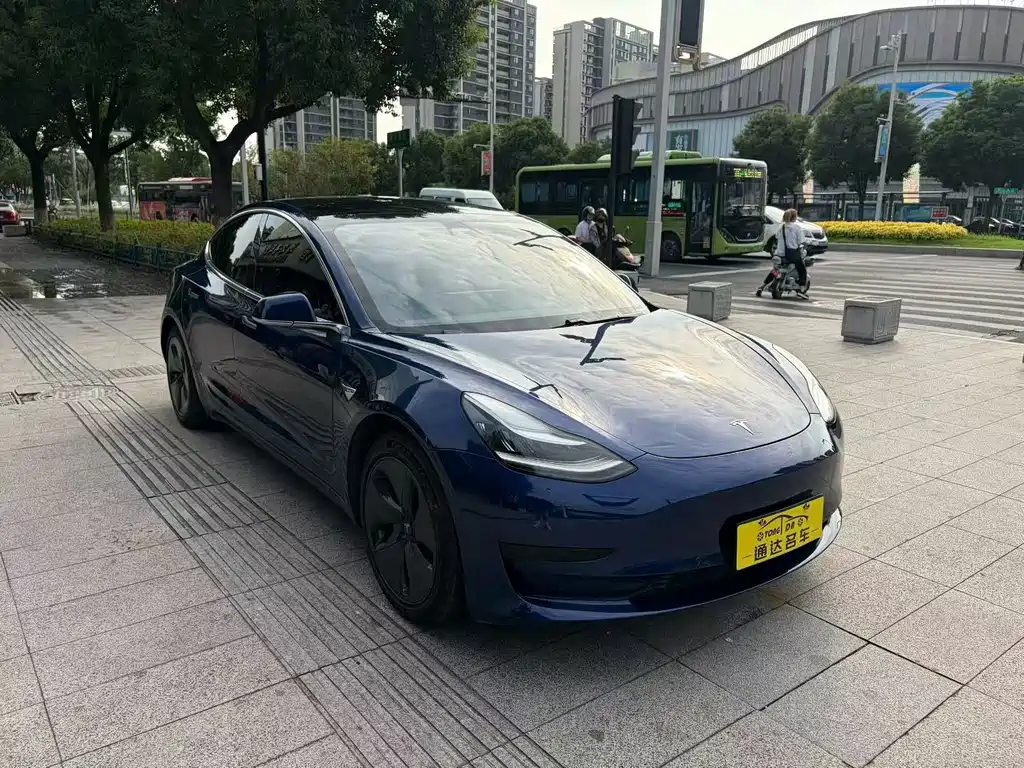 Tesla Model 3 — миниатюра 3