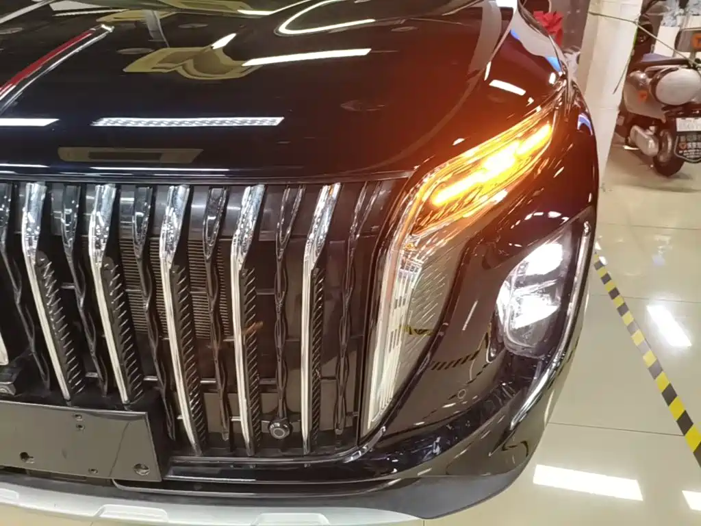 Hongqi Hongqi HS7 PHEV — миниатюра 24