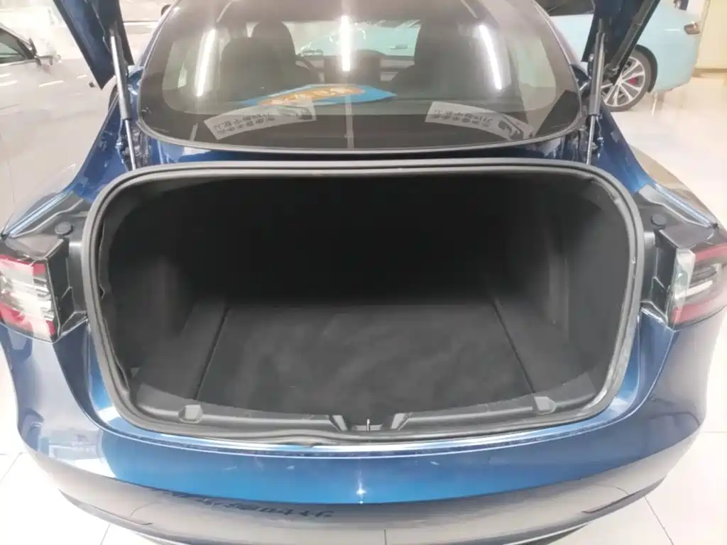 Tesla Model 3 — миниатюра 19