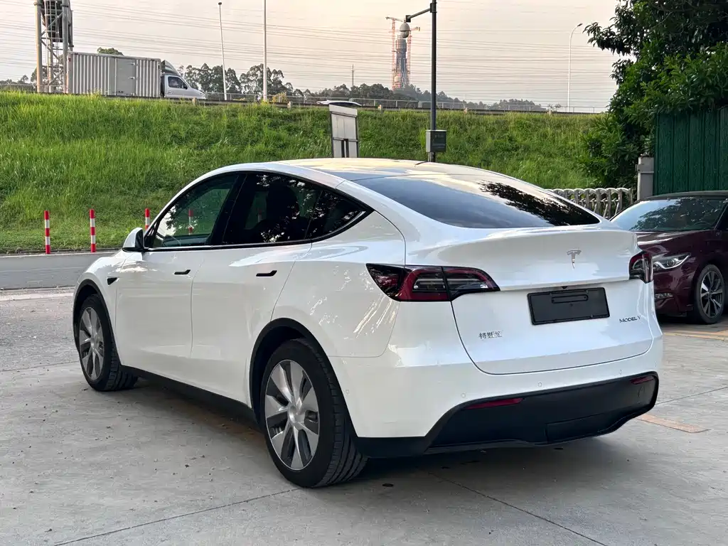 Tesla Model Y — миниатюра 9