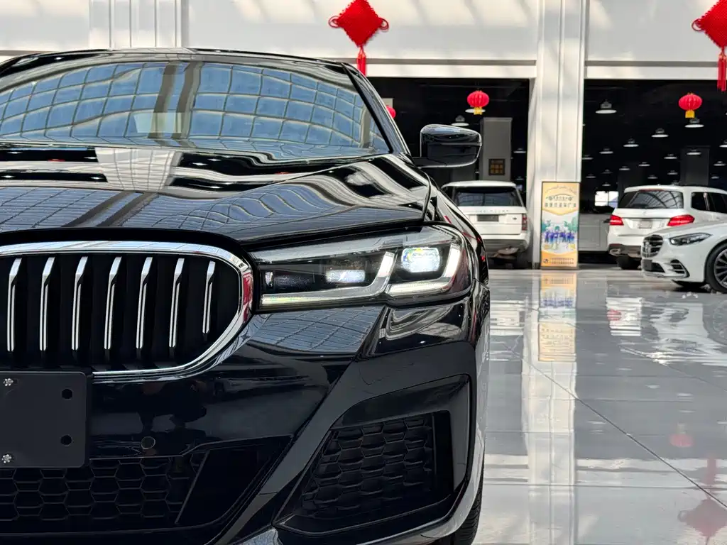 BMW 5 Series — миниатюра 4