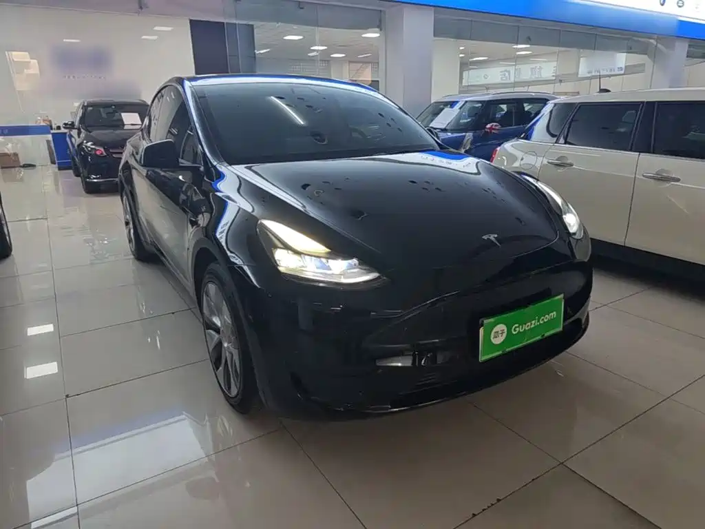 Tesla Model Y — миниатюра 4