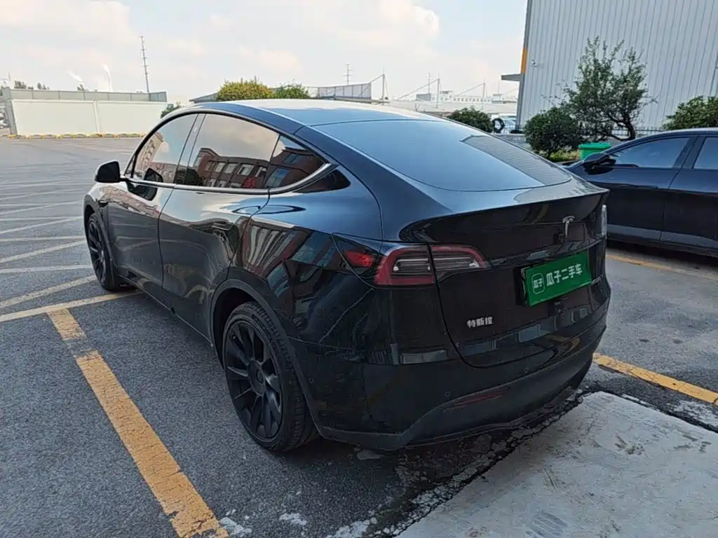 Tesla Model Y — миниатюра 5