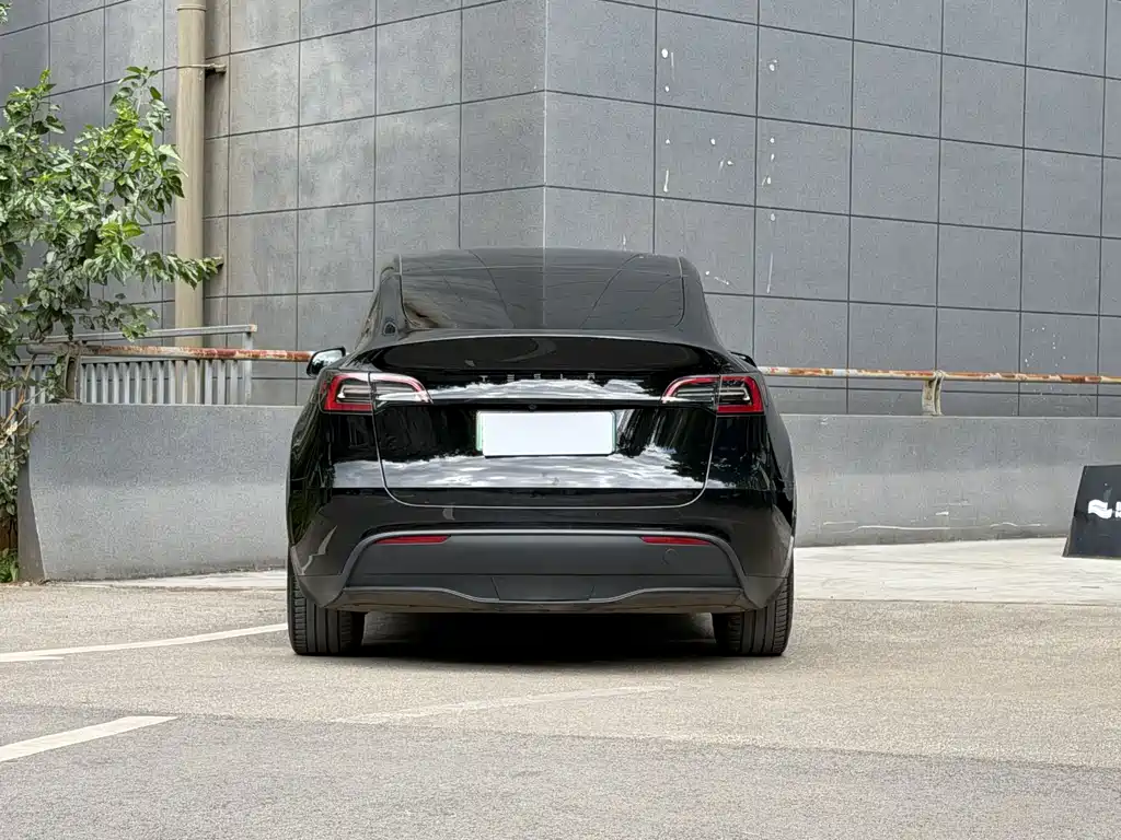 Tesla Model Y — миниатюра 7