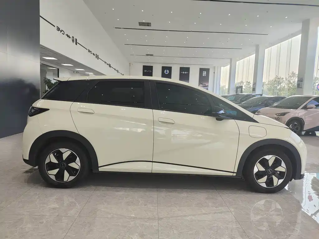 BYD Dolphin — миниатюра 4