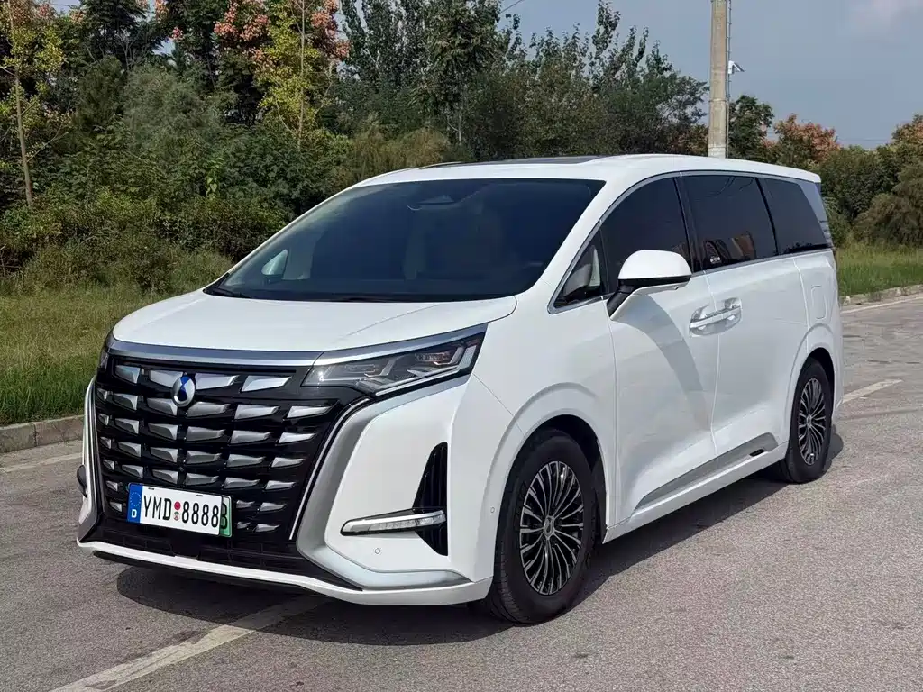 Denza Denza D9