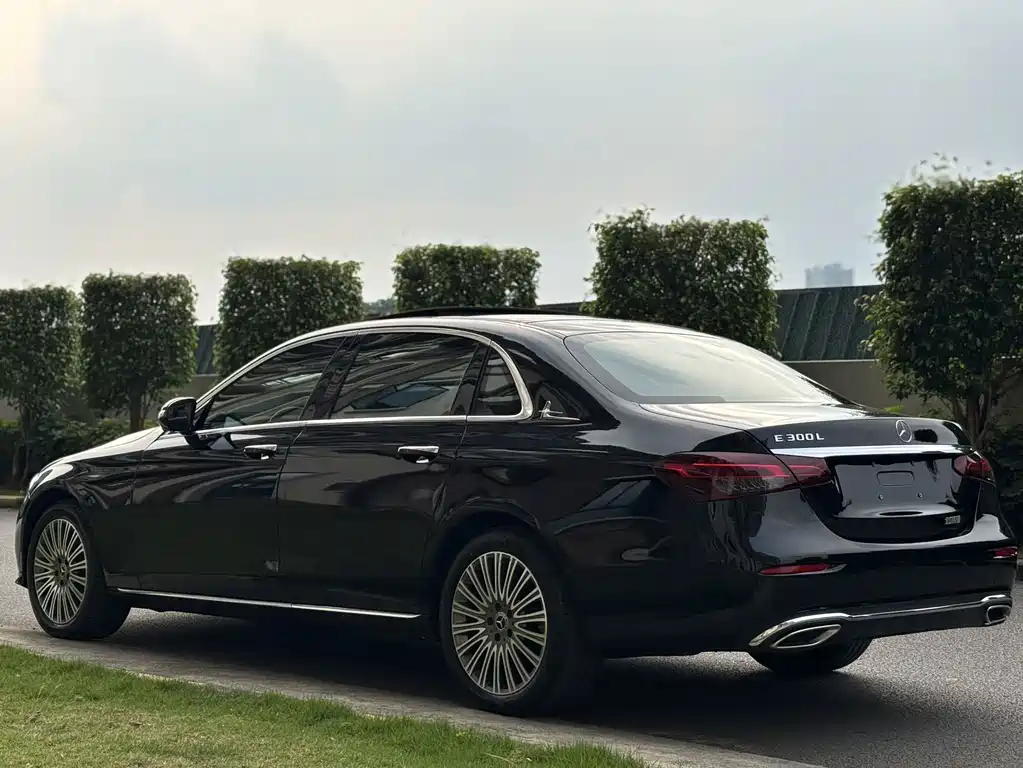Mercedes-Benz E-Class E 300 L Luxury Type, фото 5