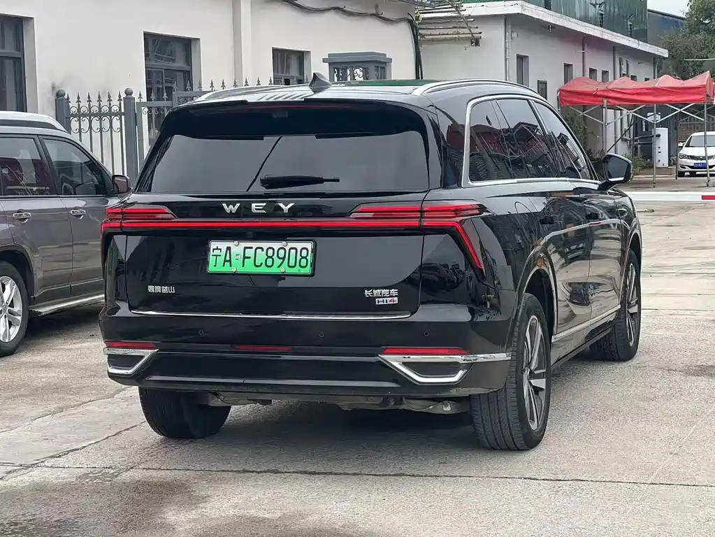 Wey Wey Lanshan — миниатюра 9
