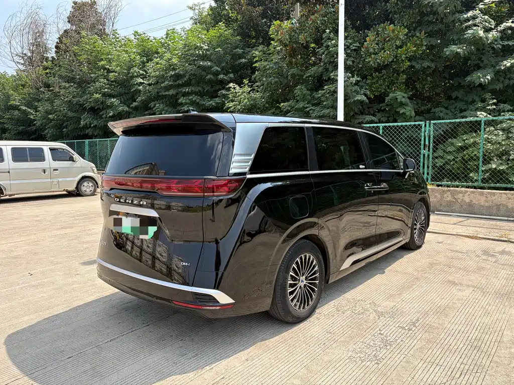 Denza Denza D9 — миниатюра 7