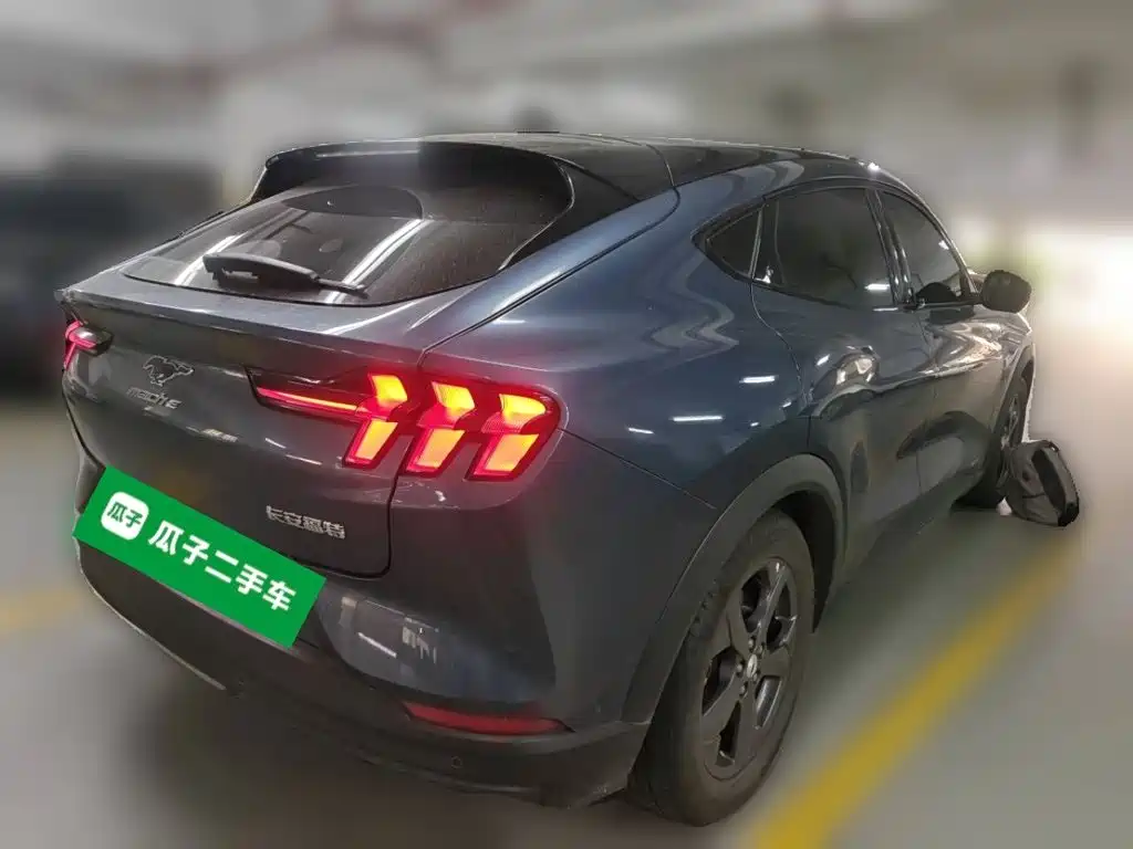 Ford Mustang Mach-E — миниатюра 4