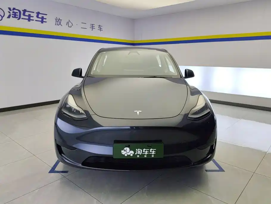 Tesla Model Y — миниатюра 2