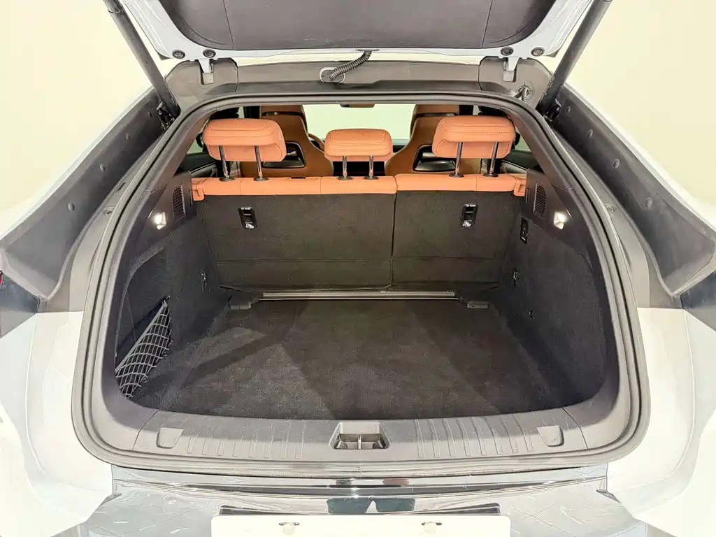 BYD L EV — миниатюра 8
