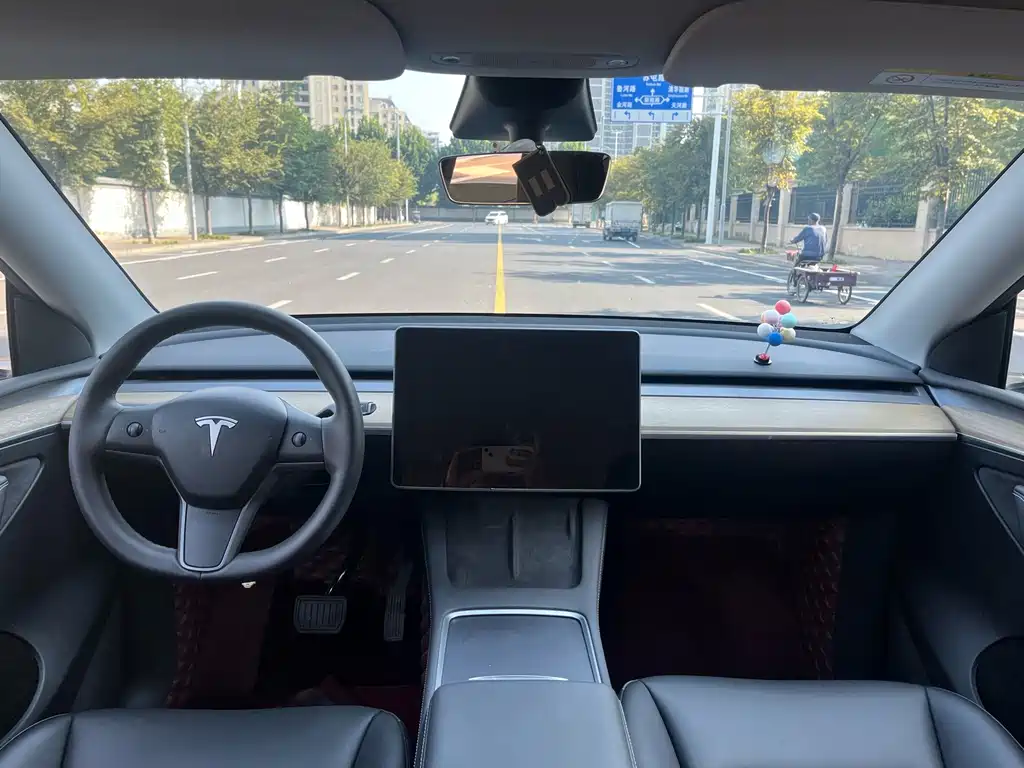 Tesla Model Y — миниатюра 13