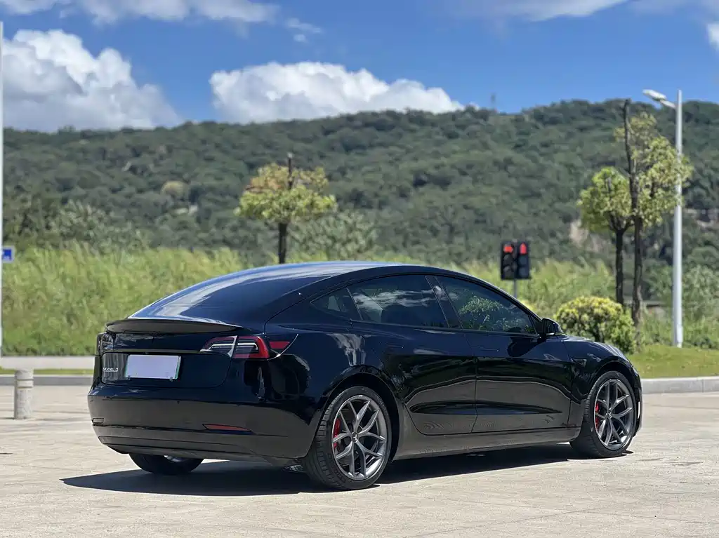 Tesla Model 3 — миниатюра 3