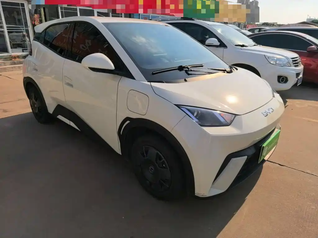 BYD Seagull 2024 305km