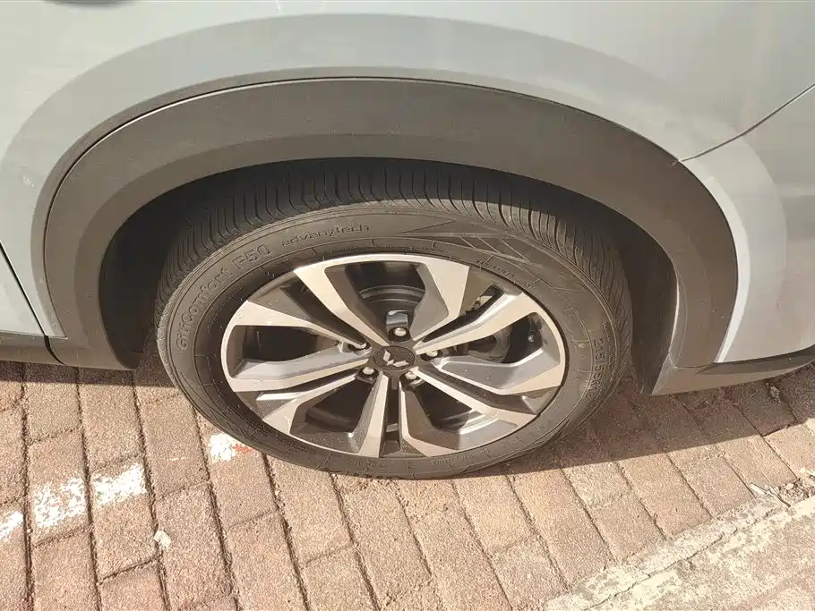 Wuling Xingchen 2022 2.0L DHT