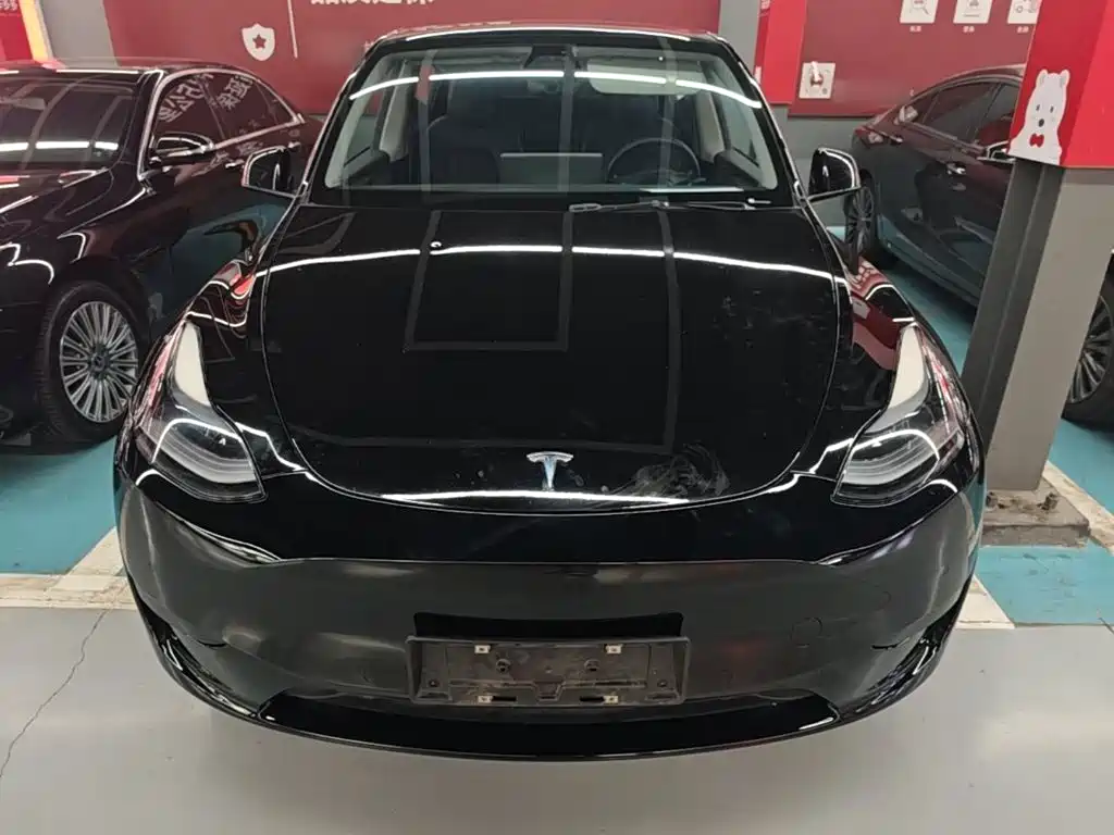 Tesla Model Y — миниатюра 3