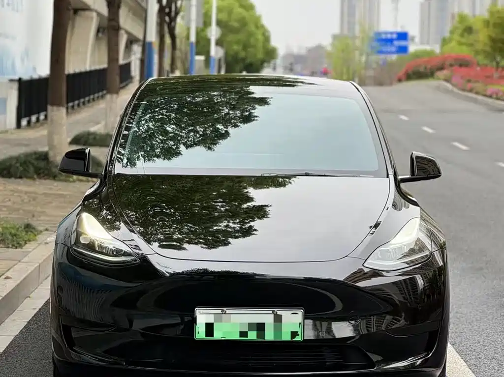 Tesla Model Y — миниатюра 2