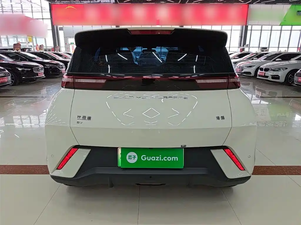 BYD Seagull