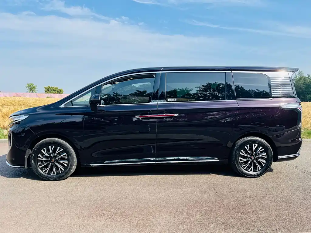 Hongqi Hongqi HQ9 PHEV — миниатюра 4