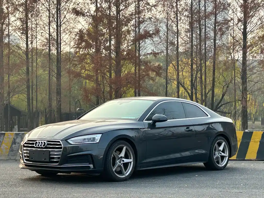 Audi A5 (Import) 2018