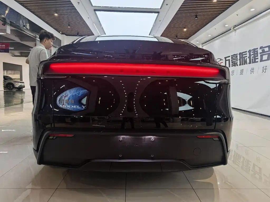 Tesla Model Y — миниатюра 11
