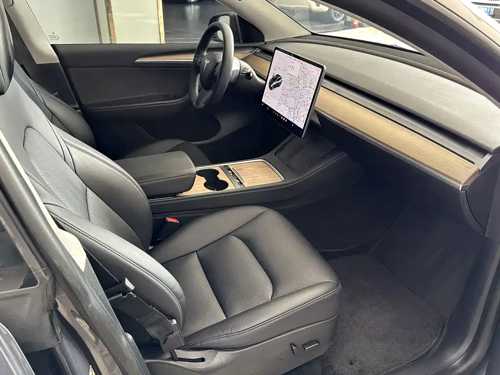 Tesla Model Y — миниатюра 12