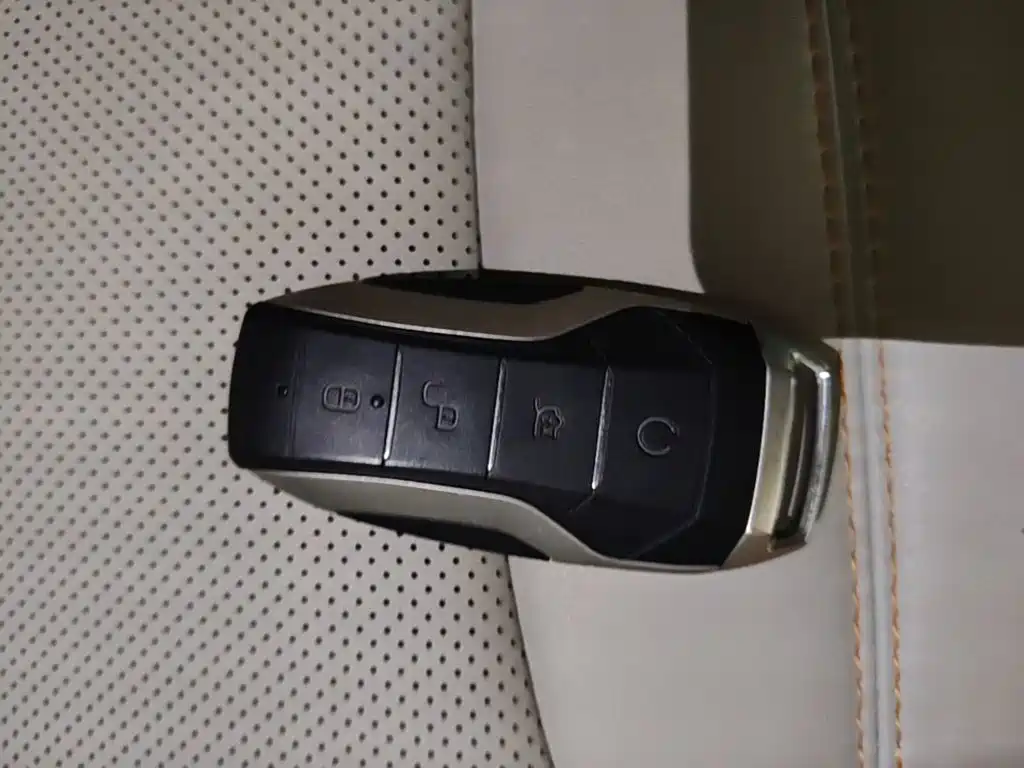 BYD PLUS New Energy — миниатюра 9