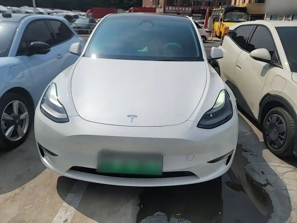 Tesla Model Y — миниатюра 3