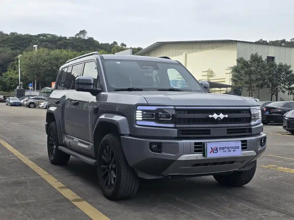 FANG CHENG BAO LEOPARD 5