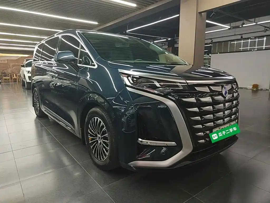Denza Denza D9 — миниатюра 4