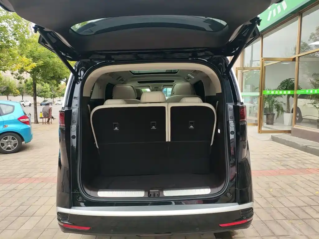 Denza Denza D9 — миниатюра 19