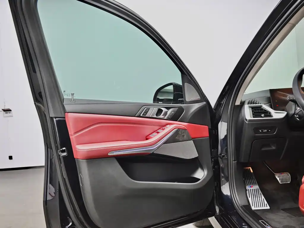 BMW X5 — миниатюра 19