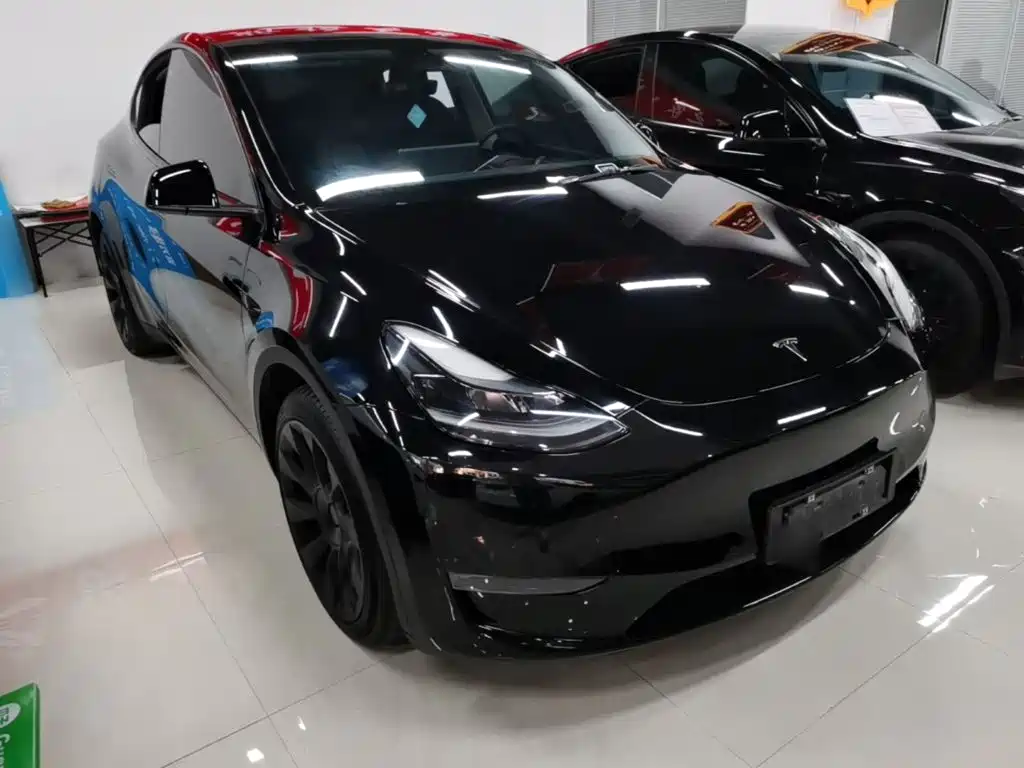 Tesla Model Y — миниатюра 4