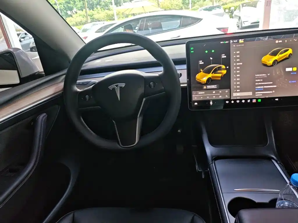 Tesla Model Y — миниатюра 11
