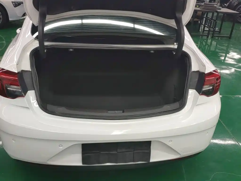 Buick Regal — миниатюра 19