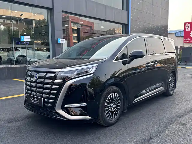 2023 Denza D9