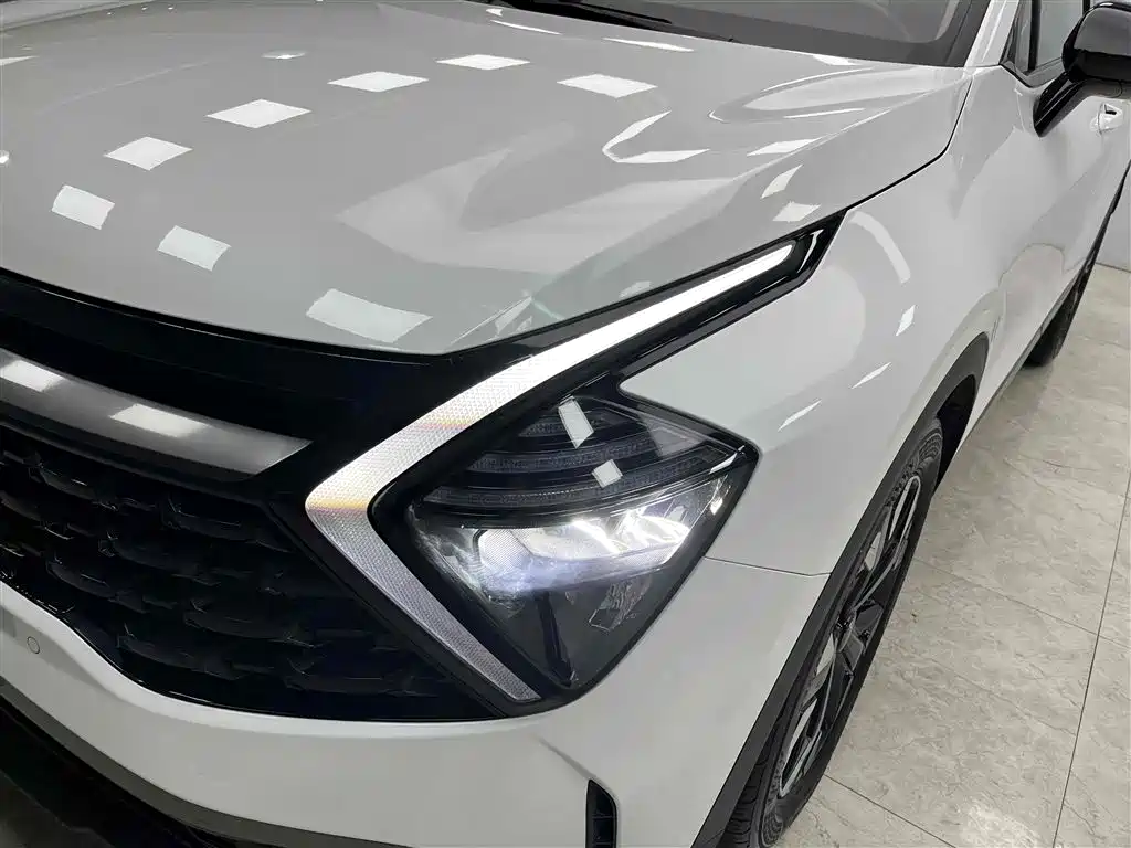 KIA LION PLATINUM EXPANDS THE WORLD