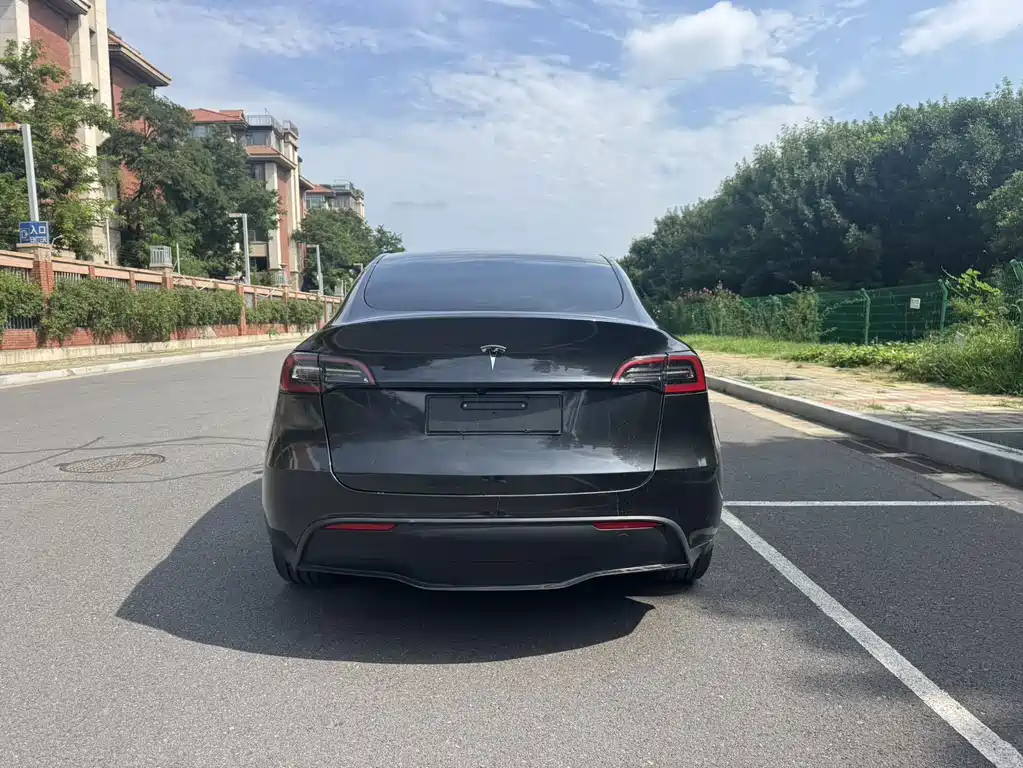 Tesla Model Y — миниатюра 10