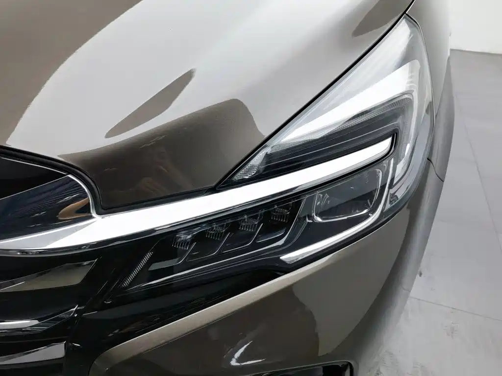 Buick GL8 — миниатюра 7