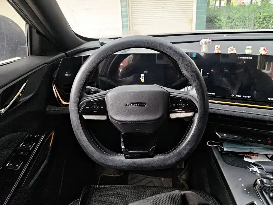 Oshan Oushang X5 PLUS — миниатюра 15