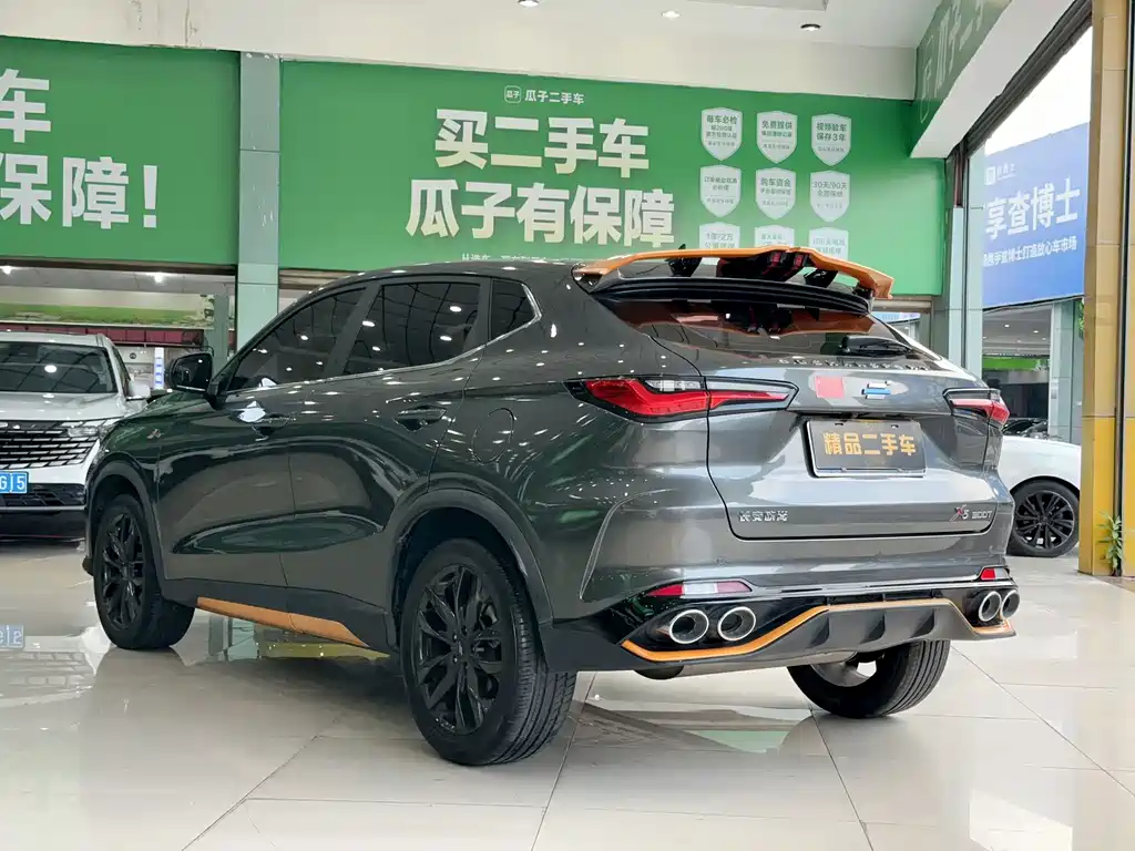 Oshan Oushang X5 — миниатюра 5