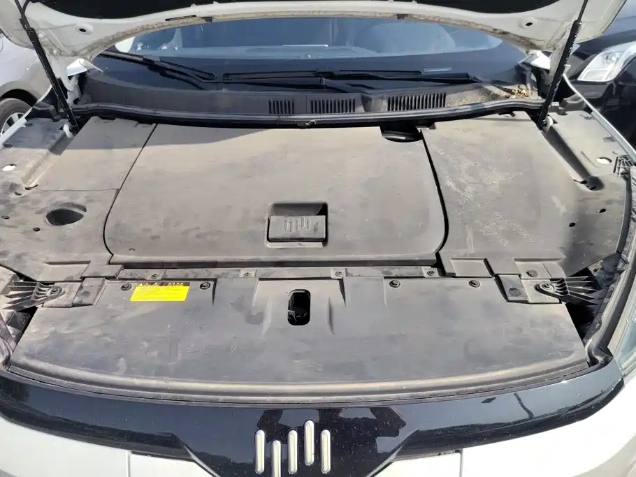 WM Motor EX5 — миниатюра 10