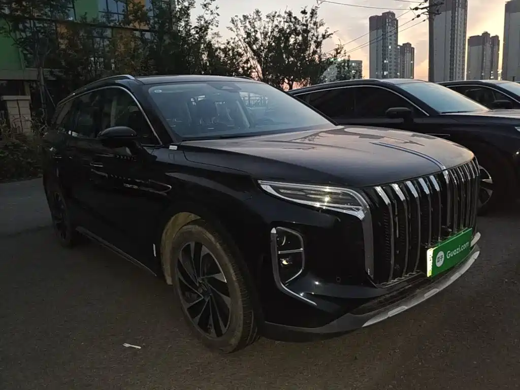 Hongqi Hongqi HS7 PHEV — миниатюра 4