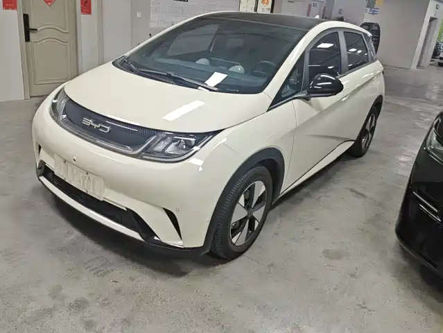 BYD 海豚