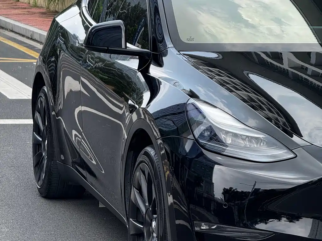 Tesla Model Y — миниатюра 4