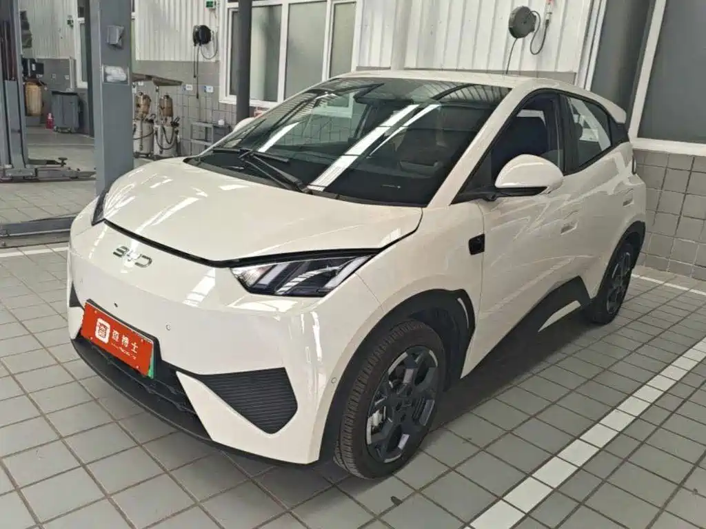 BYD Seagull