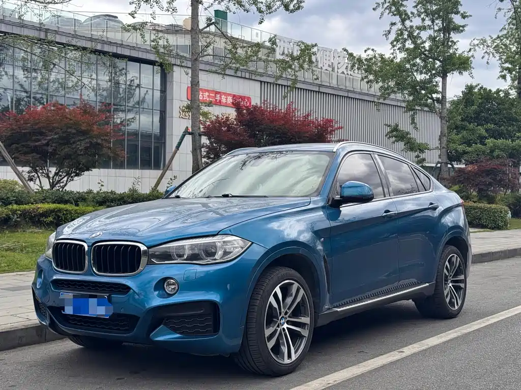 BMW X6 2019